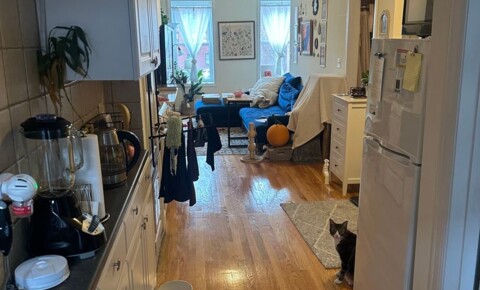Apartments Near Cambridge Amazing two bedroom unit in the north end with in unit laundry! for Cambridge Students in Cambridge, MA