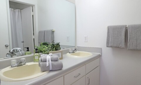 Sublets Near Santa Fe Summer sublease- 1bed1bath  for Santa Fe College Students in Gainesville, FL