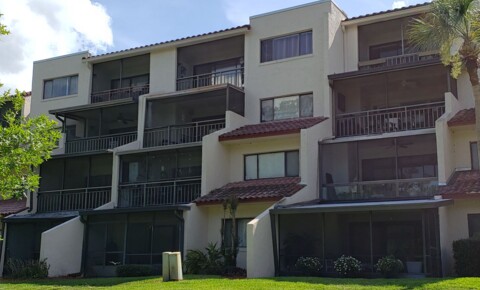 Apartments Near UCF 1162 Carmel Cir for University of Central Florida Students in Orlando, FL