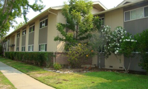 Apartments Near Santa Clara 1698 Ontario Drive for Santa Clara University Students in Santa Clara, CA