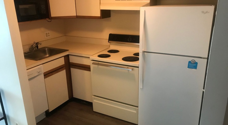 U OF M STUDENTS -- Perfect Furnished One Bedroom Apartment in Downtown Ann Arbor