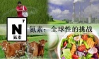 Nitrogen: A Global Challenge (Chinese)