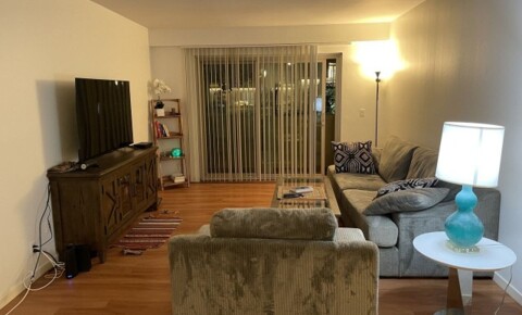 Sublets Near SMC Short-Term Sublet fully furnished apartment in Westwood Village - Close to UCLA Campus for Santa Monica College Students in Santa Monica, CA