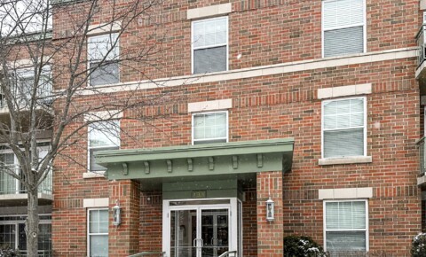 Houses Near Palatine 3 bedroom/2 bathroom luxury condo for RENT in Palatine Downtown! for Palatine Students in Palatine, IL