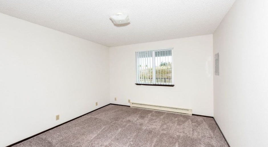Large One Bedroom Close to Vancouver Mall