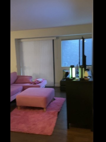 2 bed 2 bath for Females with patio luxury condo for rent 