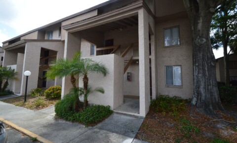 Apartments Near South University-Tampa 1 Bed/1 Bath, Ground Floor Condo at Place One! $1200/mo. AVAILABLE APRIL 30th!  for South University-Tampa Students in Tampa, FL