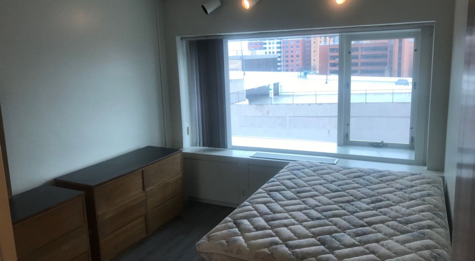 U OF M STUDENTS -- Perfect Furnished One Bedroom Apartment in Downtown Ann Arbor
