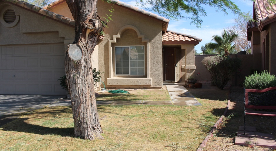 Single Story 3 bedroom home close to DT Chandler