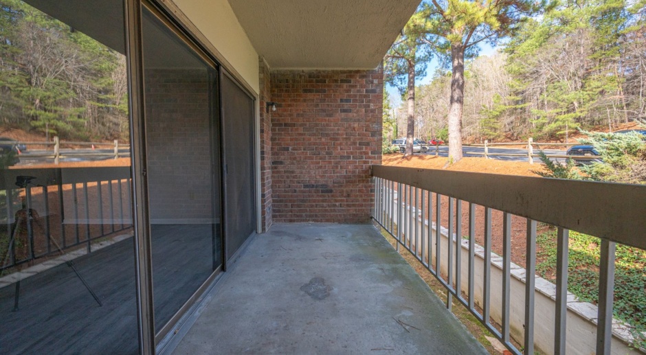 FANTASTIC 3 BEDROOM CONDO IN CHAPEL HILL - Newly Remodeled