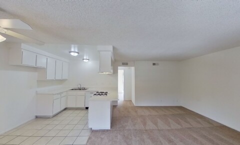 Apartments Near CCCD 535 N. Tustin Ave for Coast Community College District Students in Coasta Mesa, CA