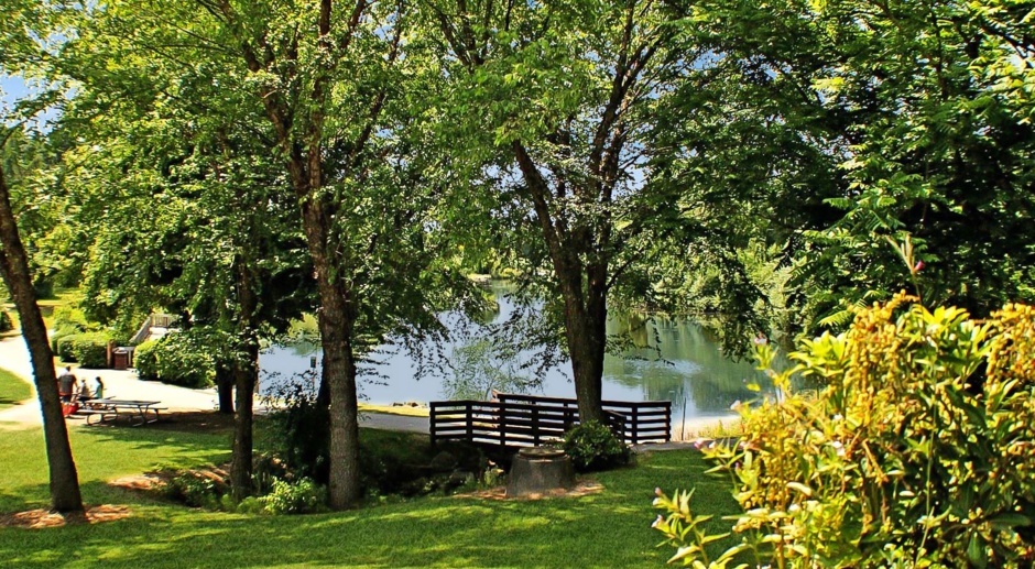 Peaceful Park Lake
