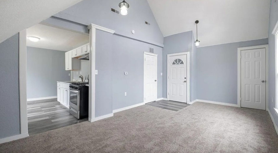 Newly Renovated Lower Level 3-Bedroom Duplex with Central Air