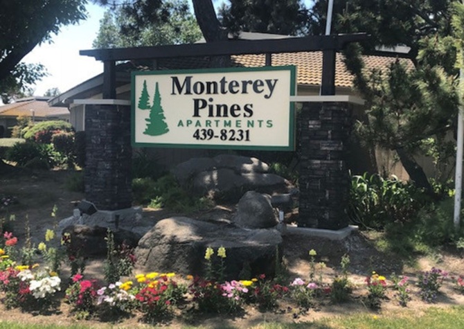 Apartments Near Monterey Pines