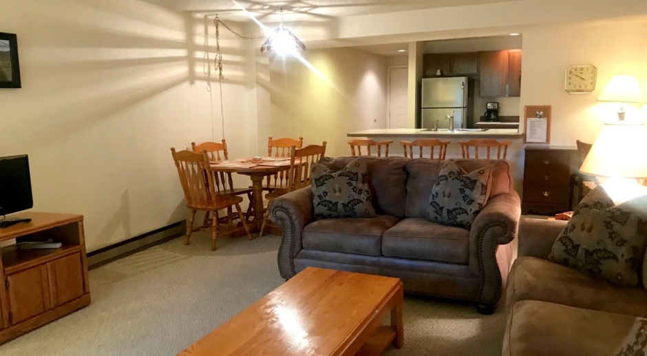 COZY FURNISHED CONDO BY THE RIVER - PERFECT FOR SHORT STAYS!