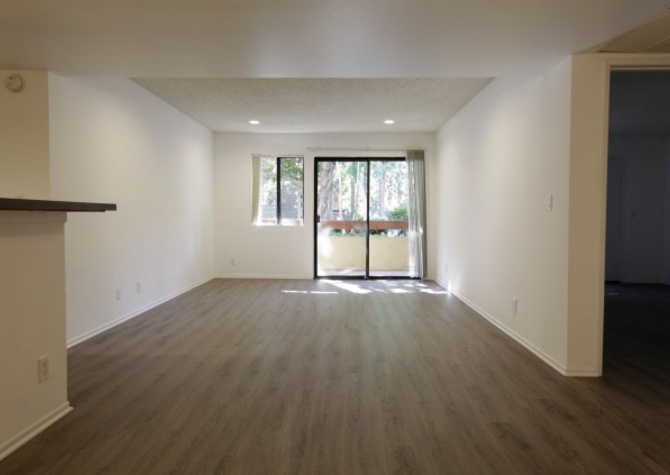 Apartments Near Gorgeous Remodeled 2 BD 2 BA Steps From UCLA!