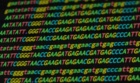 Case Studies in Functional Genomics