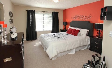 Apartments Near CCC 16297 Northdale Oaks Drive for Clearwater Christian College Students in Clearwater, FL