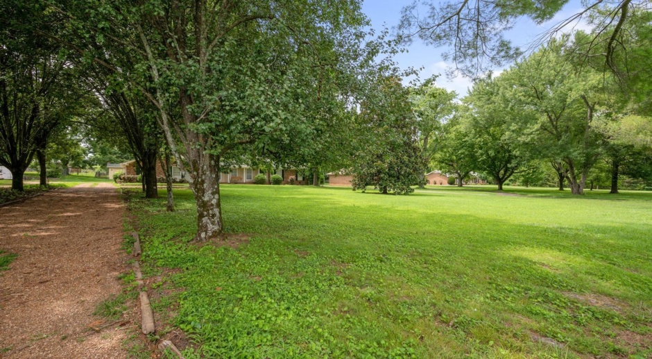 Beautiful Brick Ranch Home in Franklin 