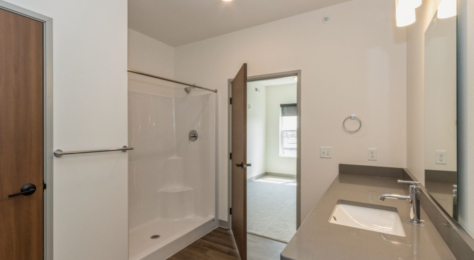 The Leo Apartments - 2 Bedroom/2 Bathroom