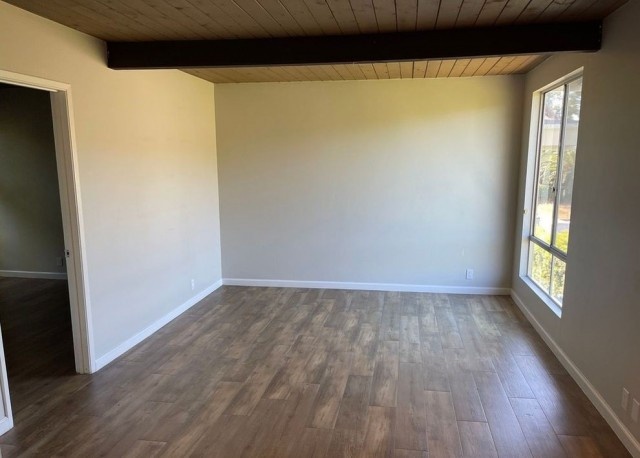 Downtown 1 Bed / 1 Bath Apartment!
