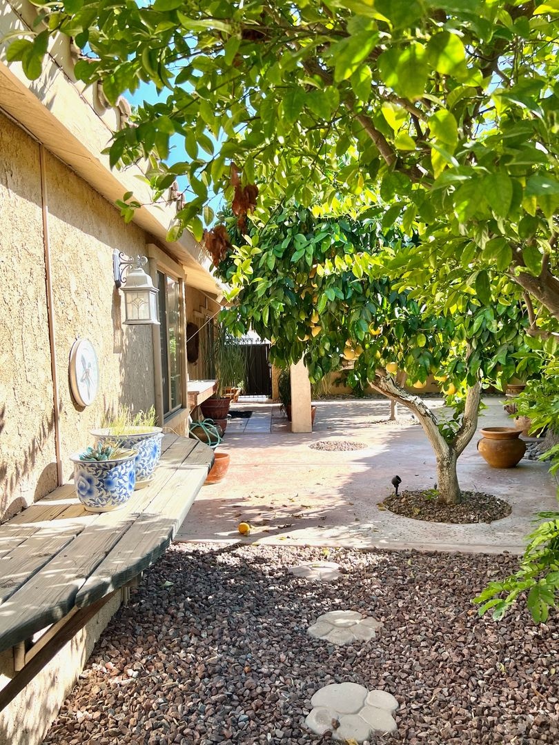 Beautiful 3 Bedroom Home w/Private Pool in Palm Desert