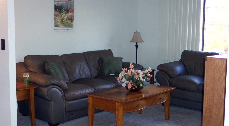 Creekside Apartments-1 Block south of CU Campus-9 month leases available over academic year