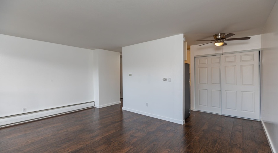 The Lorelei Apartments - Recently Renovated 1 Bed/1 Bath