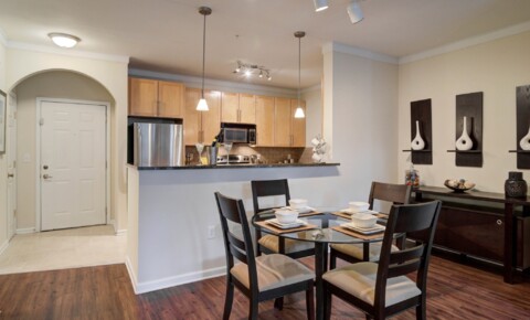 Apartments Near Florida Berkeley Heights for Florida Students in , FL