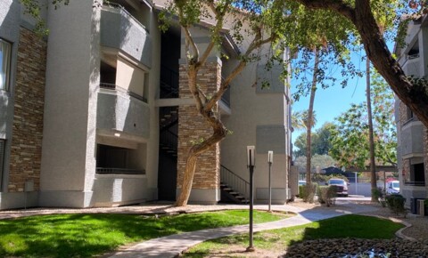 Apartments Near ASU West Campus 2025 E Campbell Ave Apt 222 for Arizona State University at the West Campus Students in Glendale, AZ