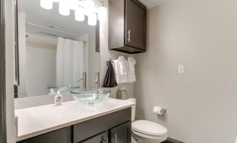 Apartments Near UH 2210 West Dallas for University of Houston Students in Houston, TX