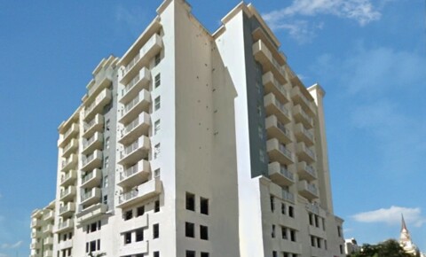 Apartments Near Miami Bedford Realty Group LLC for Miami Students in Miami, FL