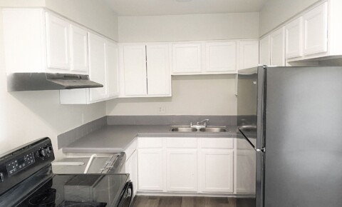 Apartments Near Colorado Amazing Renovated Apartments! for Colorado Students in , CO