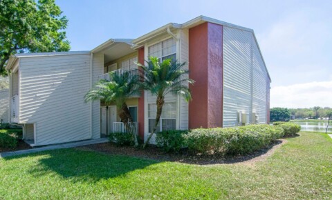 Apartments Near Ultimate Medical Academy-Tampa 2nd Floor - Corner Unit - 1 Bedroom 1 Bath for Lease in Brandon, FL for Ultimate Medical Academy-Tampa Students in Tampa, FL