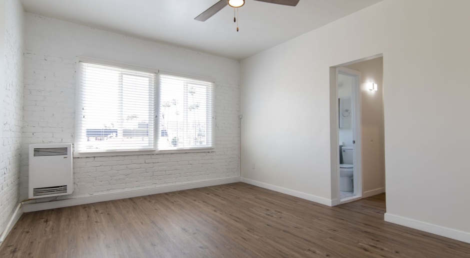 Newly Renovated Studios, JR One Bedrooms, One Bedrooms with Exposed Brick!