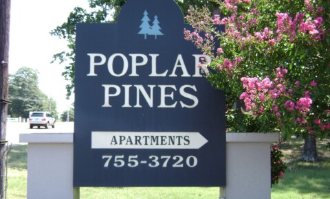 Apartments Near U of M Poplar Pines West for University of Memphis Students in Memphis, TN