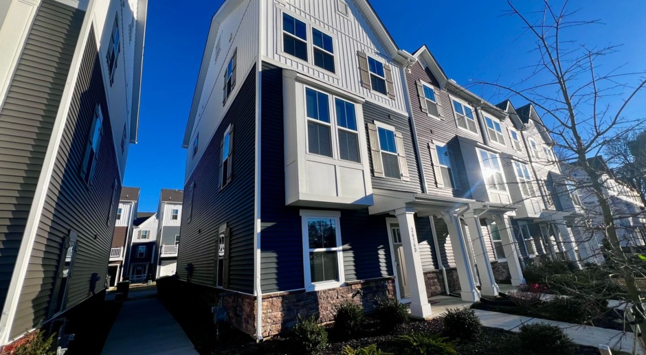 New Construction Three Story Townhome In The Heart Of Norfolk