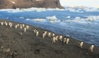 Antarctica in a Changing Climate