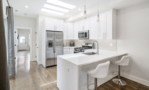 Apartments Near New England College of Business and Finance Gorgeous 2 bed/2 bath w/ roof deck in Southie! for New England College of Business and Finance Students in Boston, MA