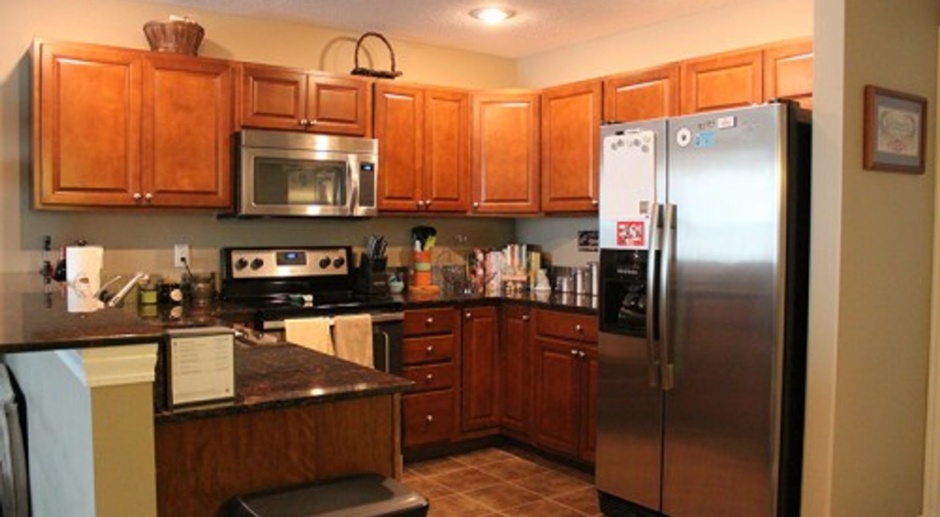 Luxury Townhome and beautiful all stainless appliances granite tops in kitchen